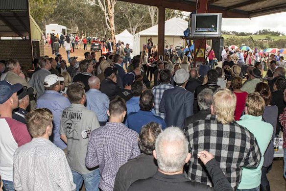 Toodyay Picnic Race Day