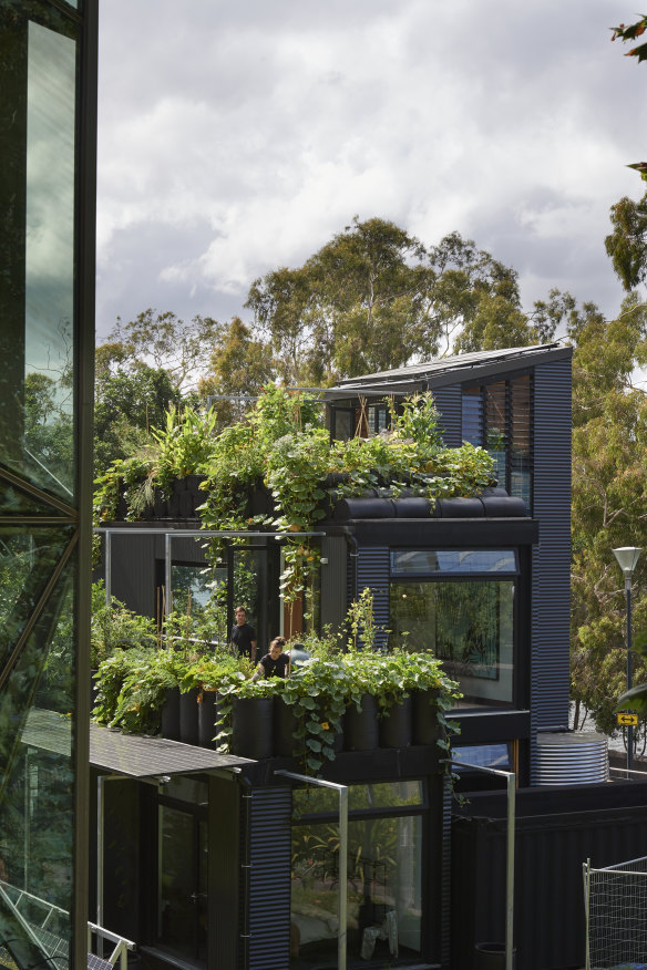 Plants and insects help reimagine this building “as an ecosystem”.