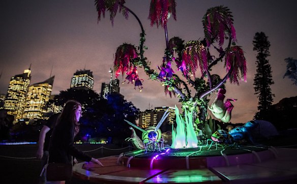 Vivid in the Royal Botanic Gardens.