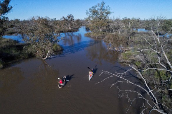 Oxygen levels in lakes are declining at as much as nine times faster than in oceans, the study found.