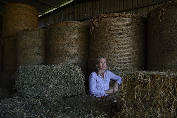 Kirsty O'Connell on her farm on the outskirts of Aberdeen. Kirsty is running as an Independent candidate in the Upper Hunter by-election.