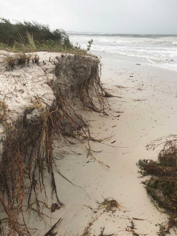 Beach erosion at Callala Beach near Jervis Bay. The main beach faces south from where the big waves rolled in.