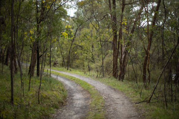 The driveway is surrounded by local eucalypts and wattles