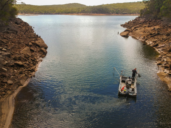 ACT Parks and Conservation aquatic ecologist Matt Beitzel and University of Canberra associate professor Mark Lintermans collect Macquarie perch from Cataract Dam in Sydney. 