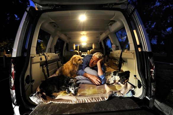 Homeless pets