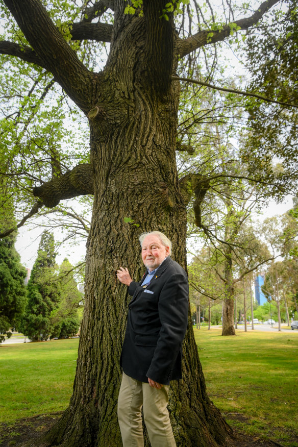 John Miller, 94, was four years old when his father and godfather planted the seedling of an elm that now stands grandly at the Shrine of Remembrance.