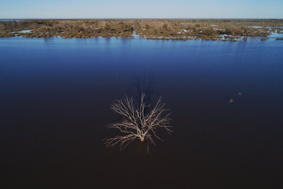 The Narran Lakes are a terminal wetlands in northern NSW, relying on flows from the Condomine-Balone system, one of the largest in the Murray-Darling Basin.