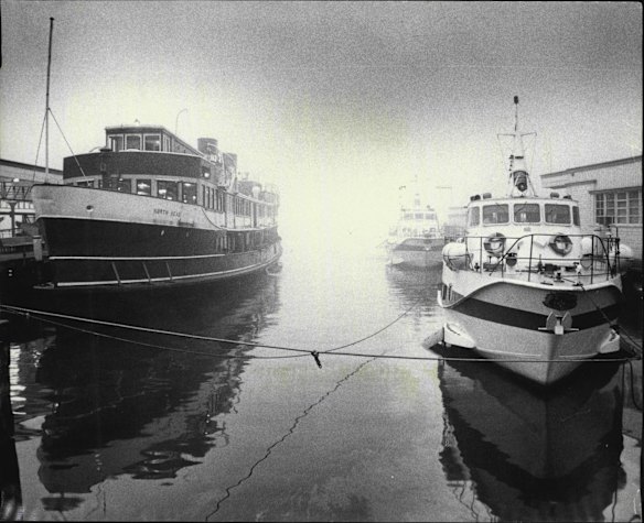 Ferries tied up at Circular Quay unable to run because of the thick fog. May 2, 1972.