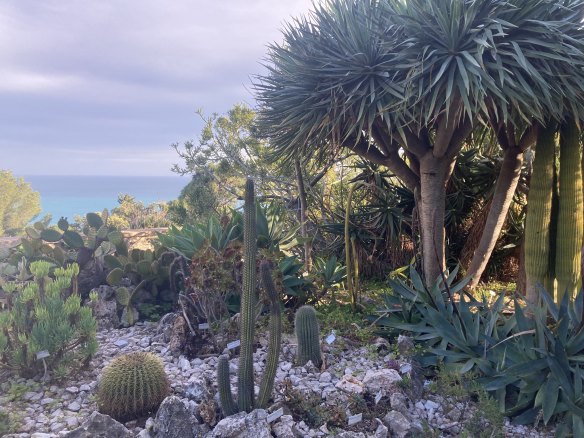 The Hanbury Botanical Gardens feature drought-tolerant plants, including many succulents.