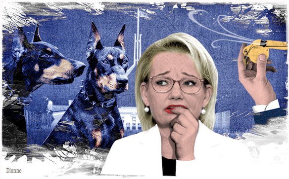  Illustration by Dionne Gain