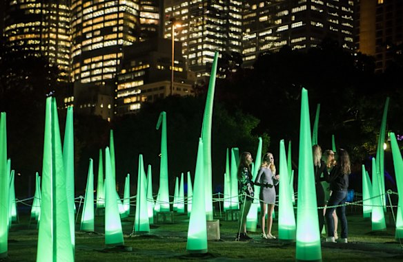 Vivid in the Royal Botanic Gardens.