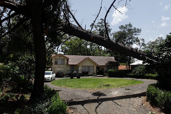 Wild Weather Causes Damage