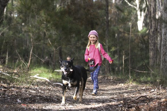 Rosella Ball taking a walk with Charlien in the Dalmeny location that is set to be developed after the  Eurobodella Council pushed through the sale of the 40-hectare block just weeks before its pre-election caretaker period began. 