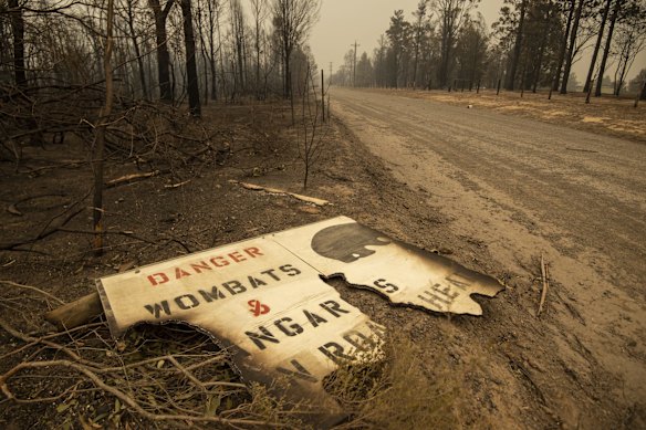 Destruction from the Currowan fire on Tallowa Dam Rd in Kangaroo Valley. The region was hit hard after a southerly change moved through last night. 