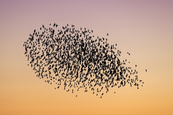 Black Sun #144, Rome.