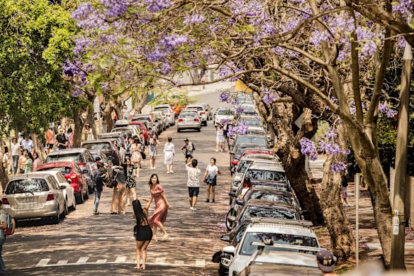 Crowds are in love with the purple haze on McDougall Street, Kirribilli.