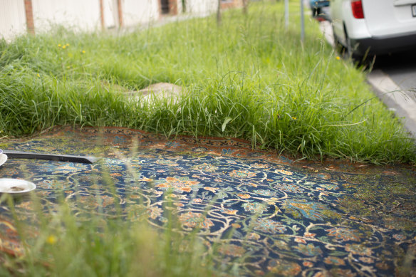 Alexandra is using carpet to smother grass on the front nature strip