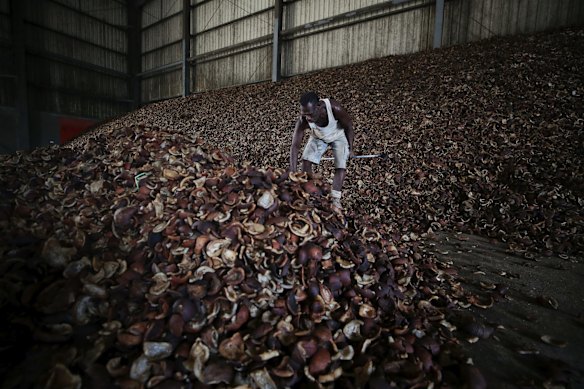 A Ni-Vanuatu man gets ready to load copra onto a ship at the new wharf.