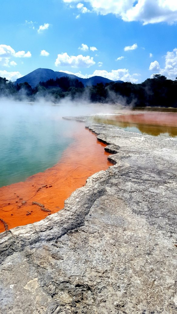 Wai-O-Tapu is one of Rotorua’s best known thermal parks.
