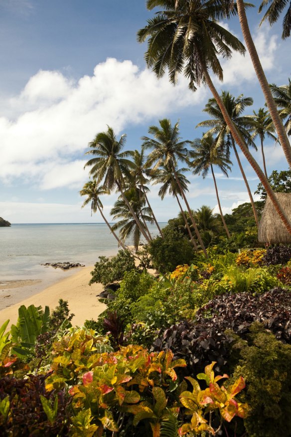 Tropical Taveuni in Fiji. 