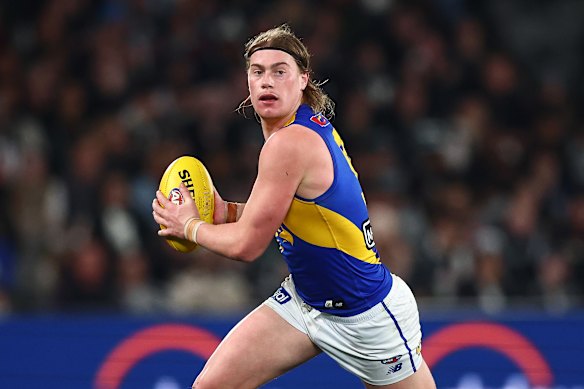 Running hot: Harley Reid will sign a huge contract, whether that be with the Eagles or elsewhere.