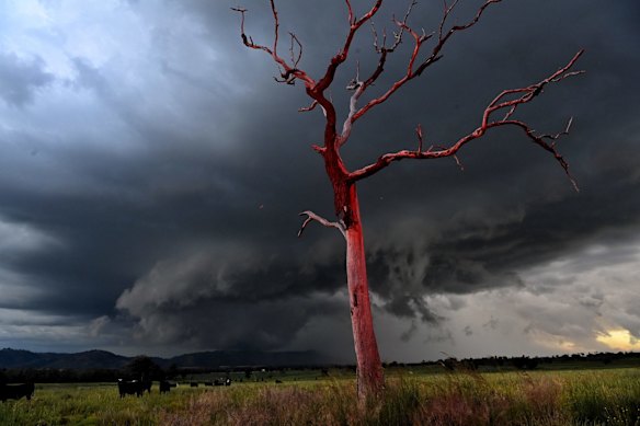 Long lasting severe storm near Bingara. The storm began life near Wee Waa and moved past Inverell. 29 October, 2021.
