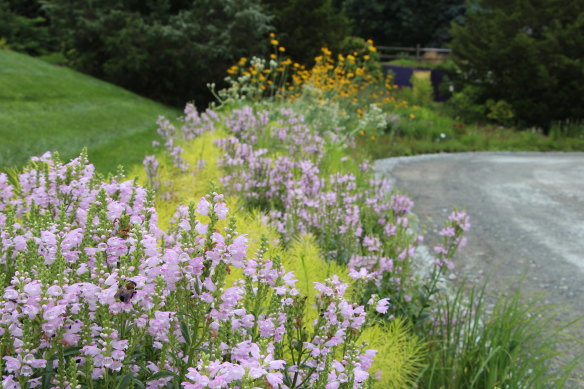 Claudia West, of Phyto Studio, showed how public city plantings could be be more diverse, such as this bioswale near Philadelphia.