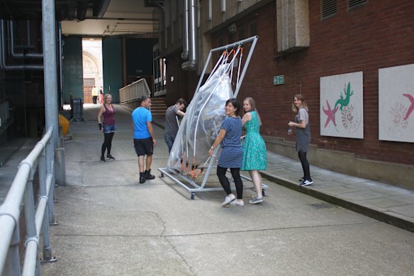 The conservation team move the massive fish.