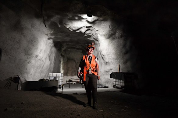 Professor Elisabetta Barberio, Director, University of Melbourne.
