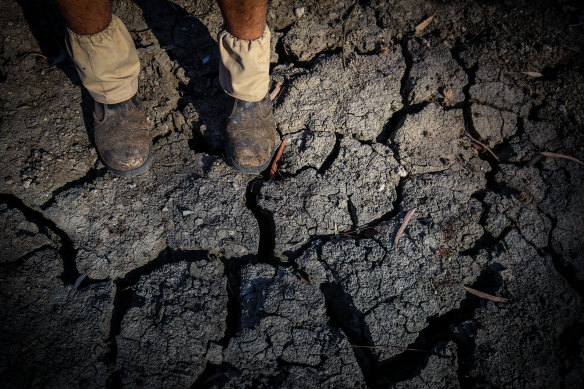 A farmer stands on the dry bed of the Namoi River in October 2019. Farmers may have water allocations cut if a planned dam on the Peel River goes ahead.