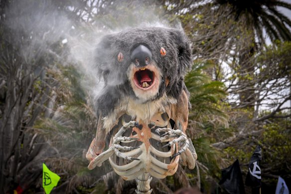 A four-metre high skeletal koala puppet called ‘Blinky’, with wisps smoke floating off it and a grimace on its face, was the focal point of the morning’s Extinction Rebellion protest against inaction on climate change in St Kilda.