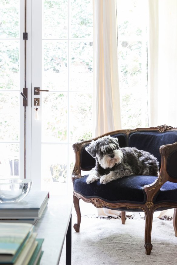 “I bought this chair in a Paris flea market and had it covered in navy velvet 20 years ago,” says Heidi. “It has survived everything and my mini schnauzer Pepper loves it, too.”