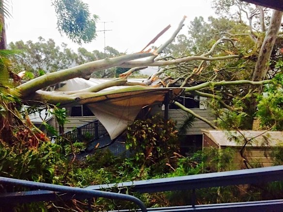 Peter Phelps house from his Twitter.