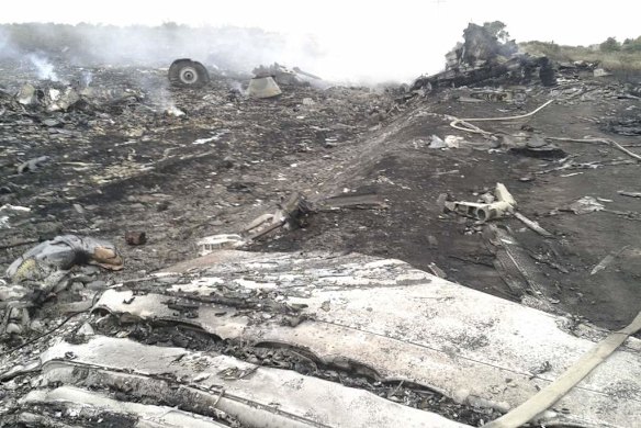 The site of a Malaysia Airlines Boeing 777 plane crash in the settlement of Grabovo in the Donetsk region.