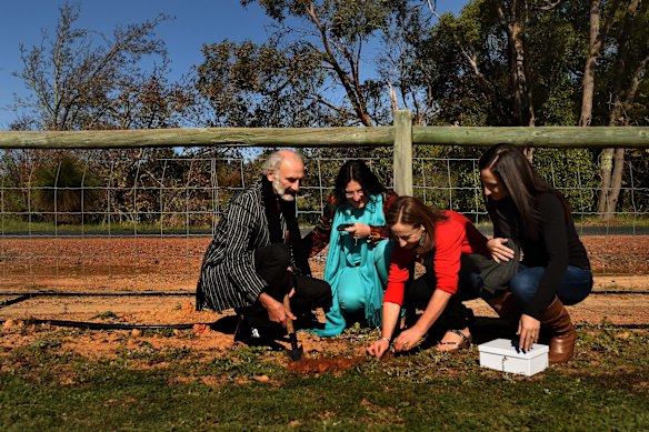 In the Perth hills, George Dyczynski (left) and Angela Dyczynski (2nd from left) the parents of Fatima Dyczynskiwho died on MH17  when it was shot down over East Ukraine, with their extended family Sarina Giglia (2nd from right) and Maria Condipodero (right) plant one of the sunflower seeds harvested from the MH17 cockpit crash site on the outskirts of Rassypnoe in East Ukraine. Perth, Western Australia. 11th July, 2015. Photo: Kate Geraghty