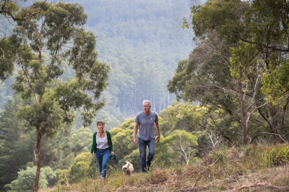 Noojee residents David Clarke and Gaye Trevan don't want the forest felled.