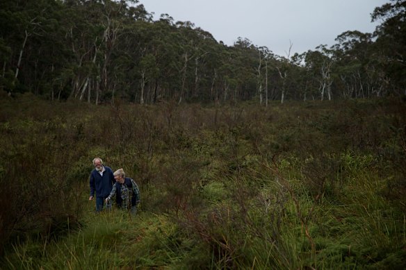 Springvale mine in Lithgow is seeking an extension to its' existing coal mine operations which will take the underground mine below the sensitive Carne West swamp in the Newnes State Forest. 