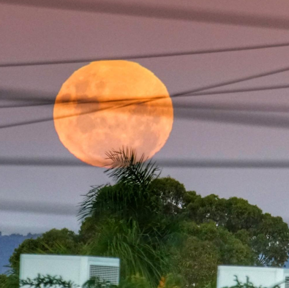 Photographers capture super blue moon over Perth