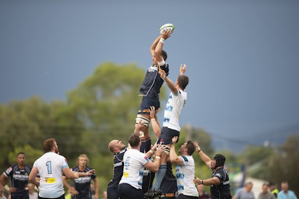 Brumbies lock Rory Arnold wins a lineout during a trial match against the NSW Waratahs in Goulburn. itthavong
