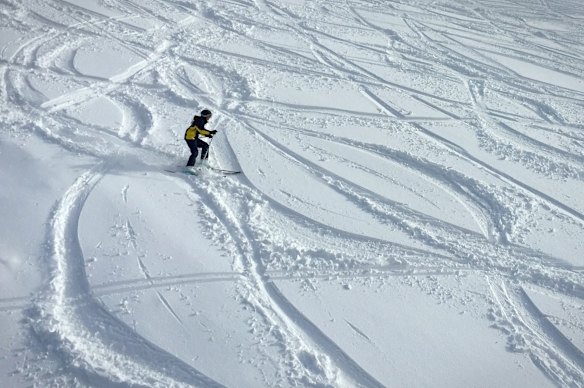 Skiers making fresh tracks on Thredbo.