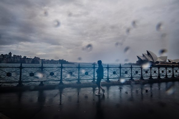 A brave soul checks out the view from The Rocks looking across Sydney Harbour.