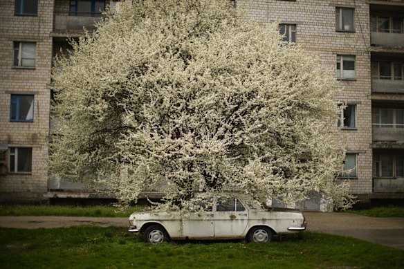 A car is parked under a tree in partially abandoned Chernobyl Town.