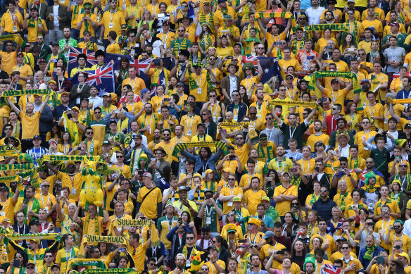 Too much sport is never enough: Socceroos supporters during the clash World Cup with France, which was played at the same time as a Wallabies Test.