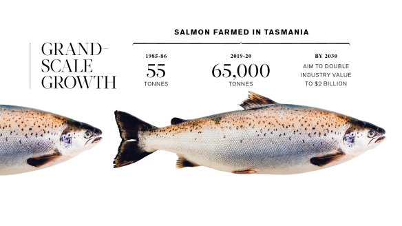 Source: UTAS; Tasmanian Government Department of Primary Industries, Parks, Water and Environment submission to the Fin Fish Inquiry; Tasmanian Salmonid Growers Association.