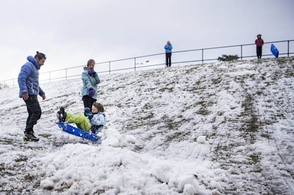 Frolicking in the snow at Blackheath.