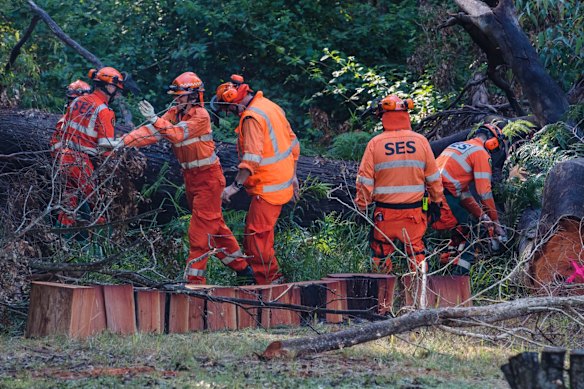 Police and SES returning for second day of a large-scale forensic search in bushlands, Kendall. as part of ongoing investigations into the 2014 disappearance of William Tyrrell. 14th June 2018 Photo Louise Kennerley smh