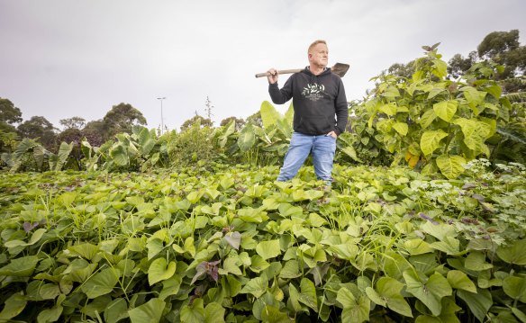 Dr Chris Wiliams is currently growing at Burnley more than 60 varieties and cultivars of about 30 different foods