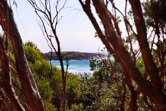 Bournda Beach in south eastern NSW, where campers found Melissa Caddick's decomposed foot and shoe washed up on the remote beach, more than three months after she vanished.