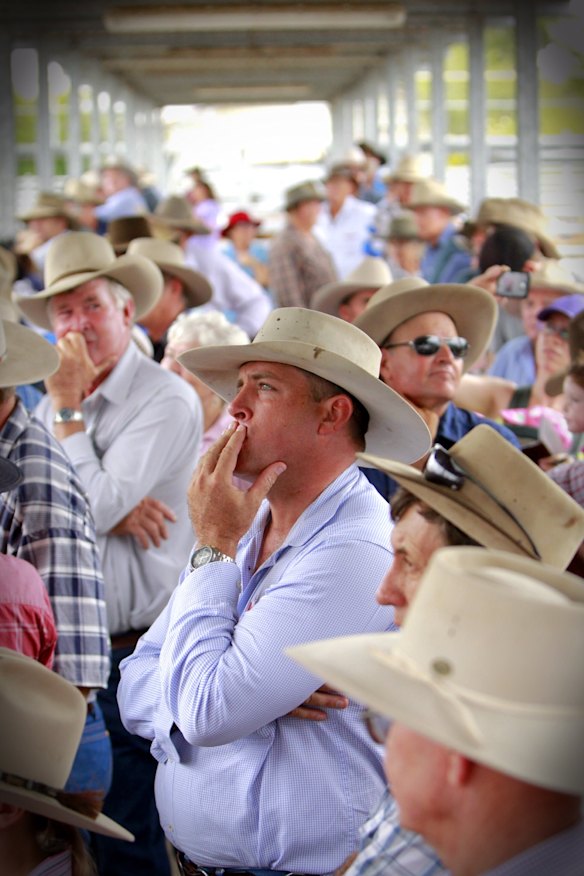 Locals listen to Premier Campbell Newman speaking at the Emerald Sales Yard in Emerald.