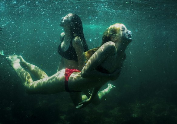 Crowds cool off at Clovelly Beach in Sydney on Australia Day. 26th January 2022 Photo: Janie Barrett .